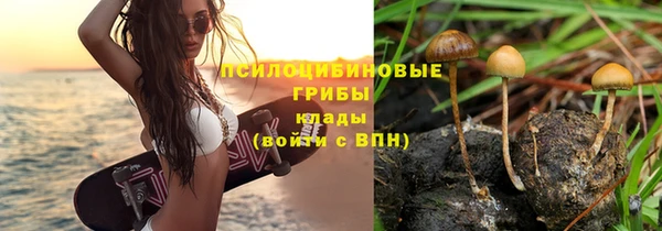 каннабис Алзамай