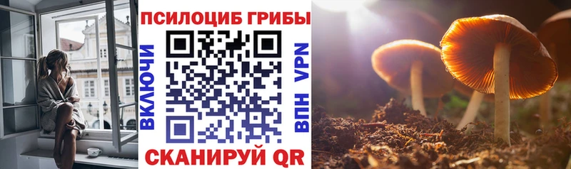 Псилоцибиновые грибы Magic Shrooms  наркота  МЕГА рабочий сайт  Ковров 